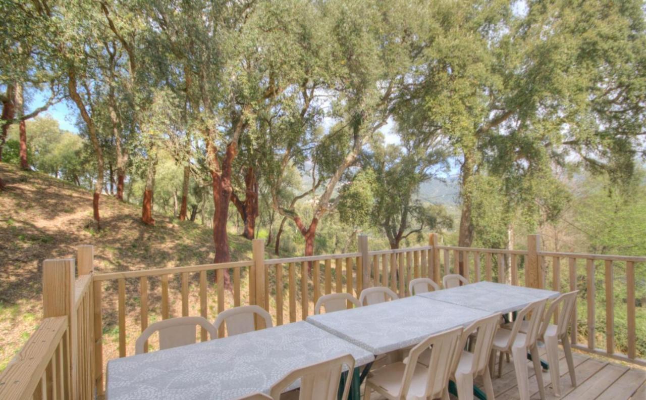 Gites Carbuccia En Corse Avec Piscine Chauffee Ngoại thất bức ảnh