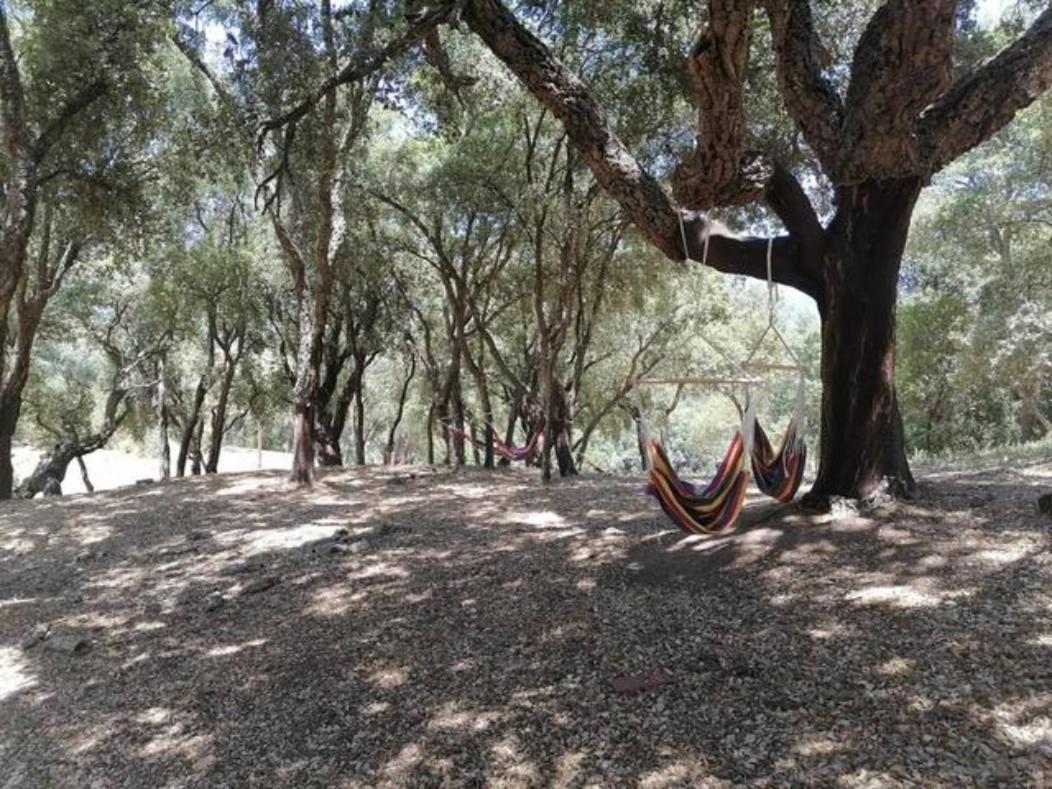 Gites Carbuccia En Corse Avec Piscine Chauffee Ngoại thất bức ảnh