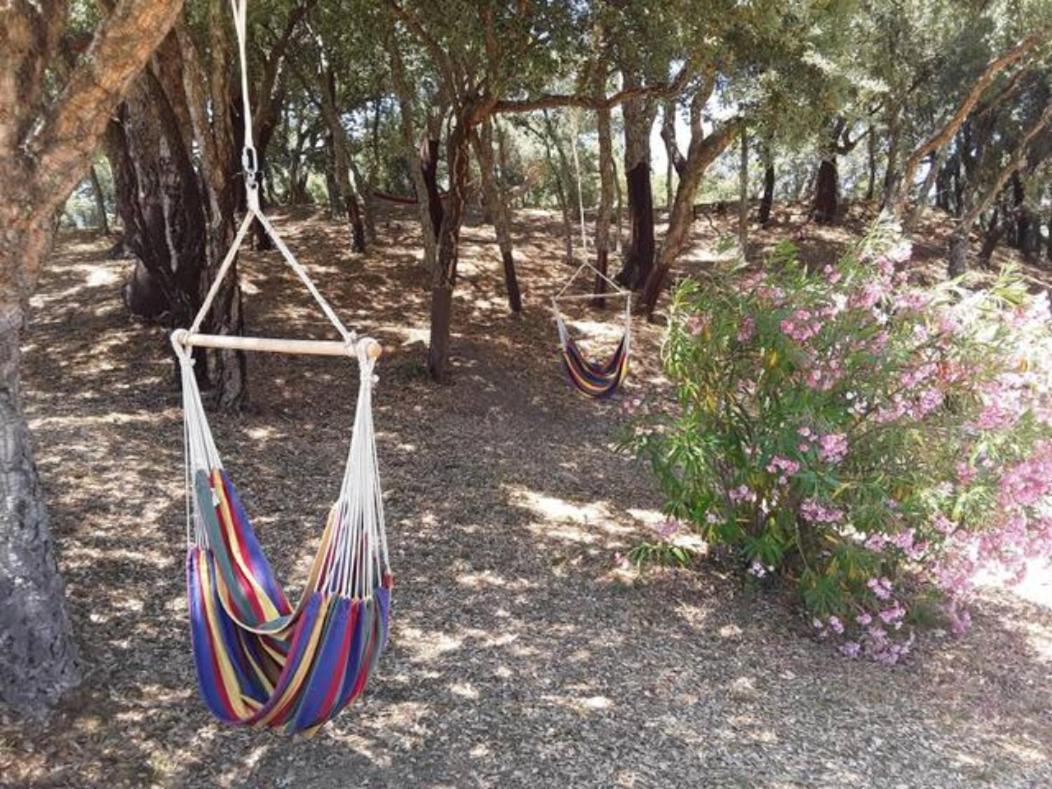 Gites Carbuccia En Corse Avec Piscine Chauffee Ngoại thất bức ảnh